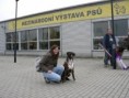 08.11.2009 Mezinárodní výstava, Praha